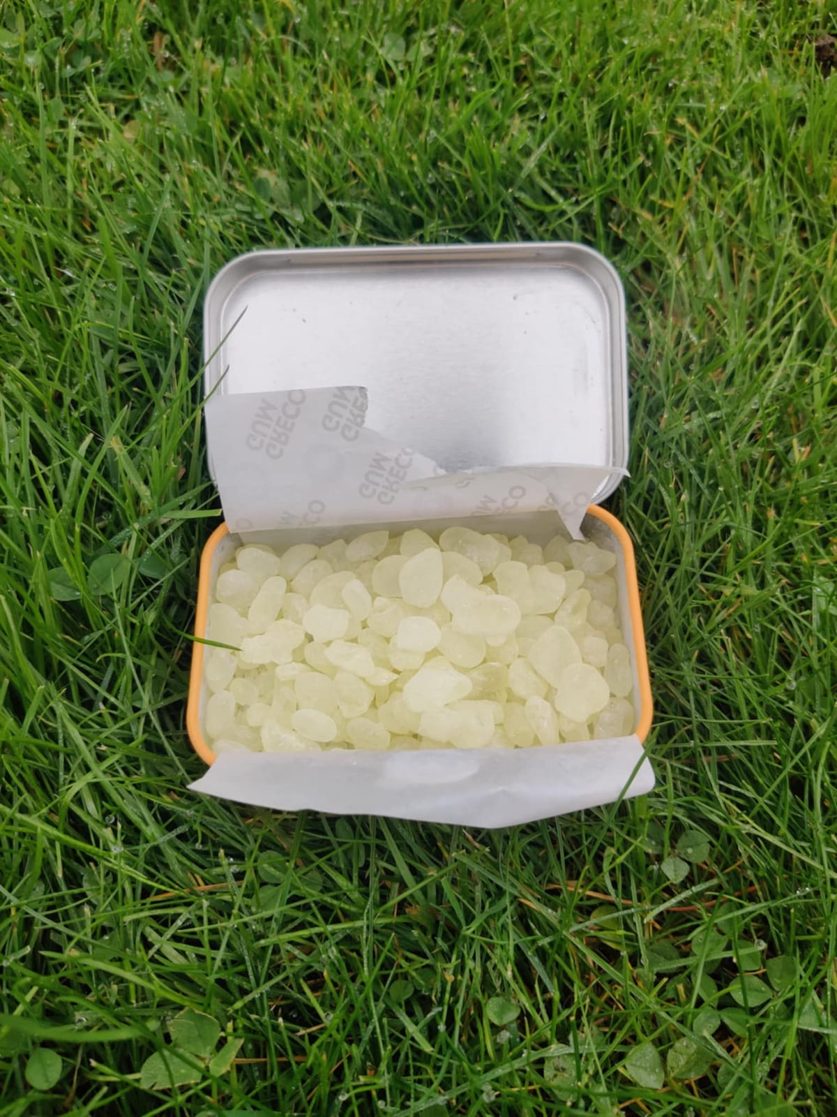 Mastic Gum Review - My honest experience
